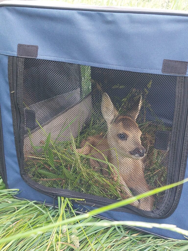 img 20230530 wa0043 kopie kopie