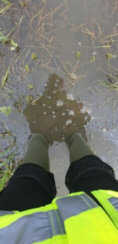 20210611 074724 20210611 074724