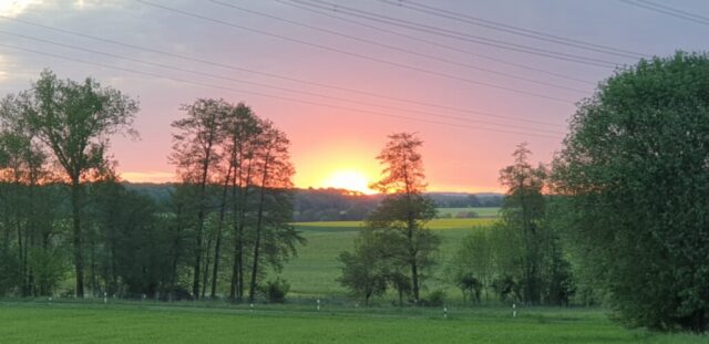 20220512 054402 20220512 054402