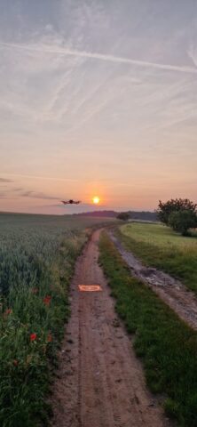 20250610 054126 20250610 054126