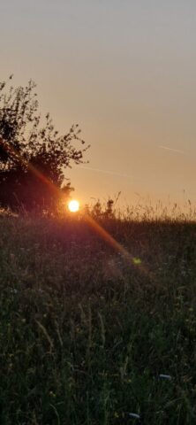 20250611 054002 20250611 054002