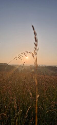 20250615 055417 20250615 055417