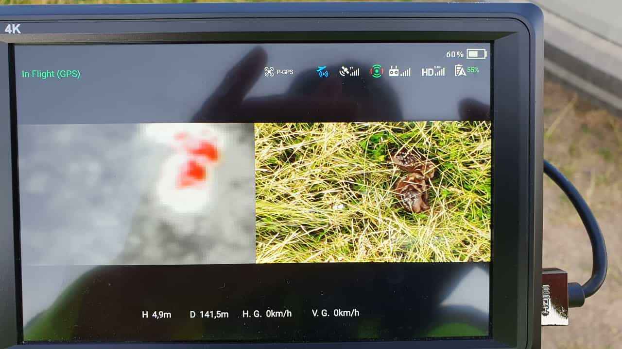 475082607 932109085675024 597918188480665410 n