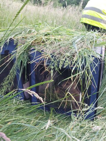 img 20230530 wa0042 img 20230530 wa0042