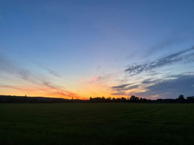 img 20250506 wa0007 img 20250506 wa0007