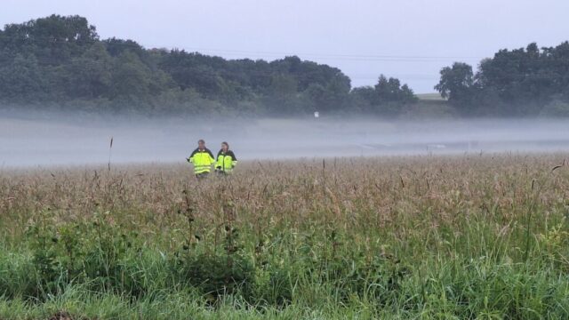 img 20250609 wa0004 img 20250609 wa0004