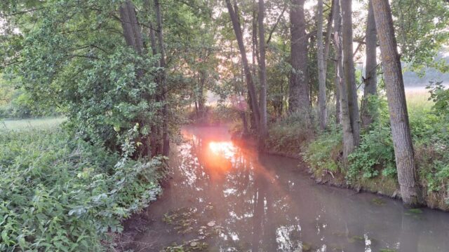 img 20250609 wa0035 img 20250609 wa0035