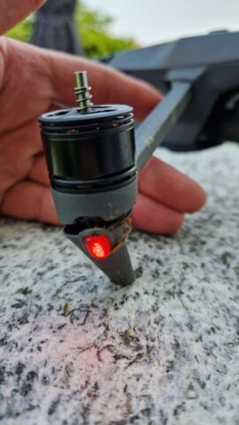 nach Angriff einer besorgten Vogelmami img 20250609 wa0044