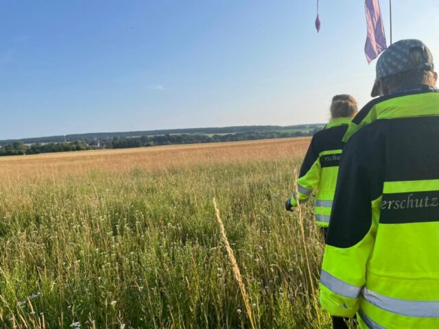 img 20250617 wa0010 kopie img 20250617 wa0010 kopie