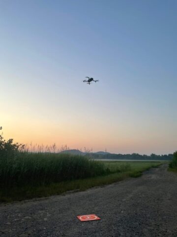 img 20250619 wa0003 img 20250619 wa0003