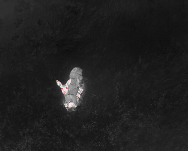 img 20250620 wa0021 kopie img 20250620 wa0021 kopie