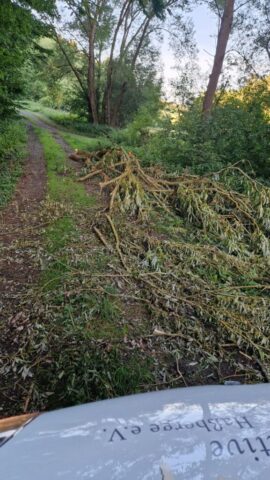 img 20250621 wa0004 img 20250621 wa0004