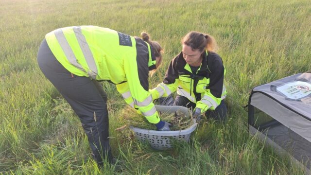 img 20260115 wa0013 img 20260115 wa0013