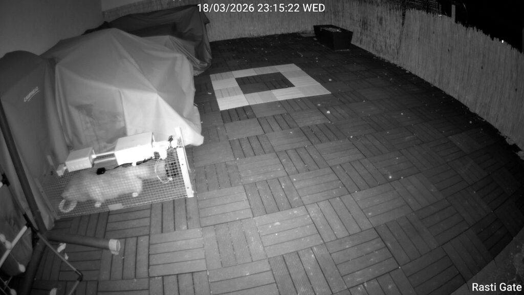 rasti gate 0 playback 1774078750759